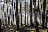 zeitzgrund_02_2017_108