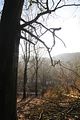 zeitzgrund_02_2017_112