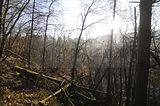 zeitzgrund_02_2017_113