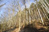 zeitzgrund_02_2017_115