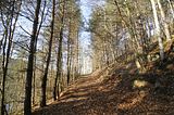 zeitzgrund_02_2017_116