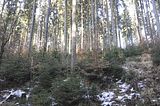 zeitzgrund_02_2017_123