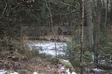 zeitzgrund_02_2017_124