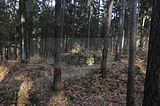 zeitzgrund_02_2017_128