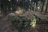 zeitzgrund_02_2017_129