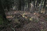zeitzgrund_02_2017_130