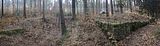 zeitzgrund_02_2017_132