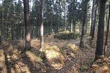 zeitzgrund_02_2017_133