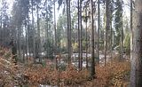 zeitzgrund_02_2017_136