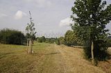 apolda_07_2016_37