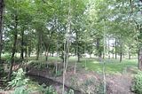 apolda_07_2016_39