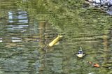 bad_langensalza_07_2016_hdr_079