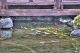 bad_langensalza_07_2016_hdr_080