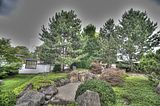 bad_langensalza_07_2016_hdr_116