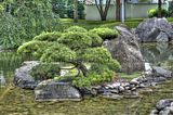 bad_langensalza_07_2016_hdr_131