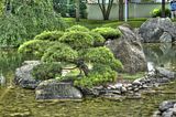 bad_langensalza_07_2016_hdr_132