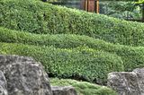 bad_langensalza_07_2016_hdr_143