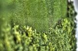 bad_langensalza_07_2016_hdr_144