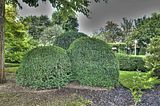 bad_langensalza_07_2016_hdr_149