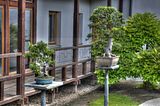 bad_langensalza_07_2016_hdr_153