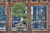 bad_langensalza_07_2016_hdr_154