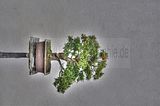 bad_langensalza_07_2016_hdr_155