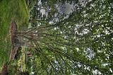 bad_langensalza_07_2016_hdr_159
