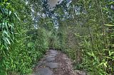 bad_langensalza_07_2016_hdr_162