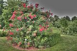 bad_langensalza_07_2016_hdr_172