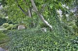bad_langensalza_07_2016_hdr_177