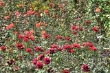 bad_langensalza_07_2016_hdr_198