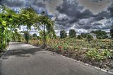 bad_langensalza_07_2016_hdr_202