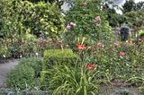 bad_langensalza_07_2016_hdr_205