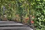 bad_langensalza_07_2016_hdr_208