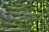 bad_langensalza_07_2016_hdr_209