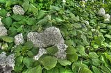 bad_langensalza_07_2016_hdr_217