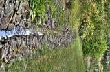 bad_langensalza_07_2016_hdr_221