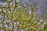 bad_langensalza_07_2016_hdr_222