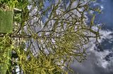 bad_langensalza_07_2016_hdr_223