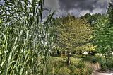 bad_langensalza_07_2016_hdr_224
