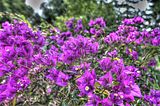 bad_langensalza_07_2016_hdr_228