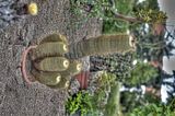 bad_langensalza_07_2016_hdr_242
