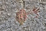 bad_langensalza_07_2016_hdr_247