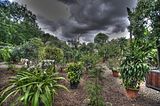 bad_langensalza_07_2016_hdr_252