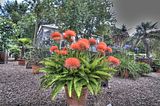 bad_langensalza_07_2016_hdr_255