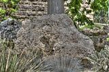 bad_langensalza_07_2016_hdr_259