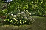 bad_langensalza_07_2016_hdr_271