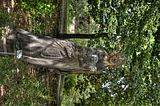 bad_langensalza_07_2016_hdr_272