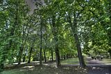 bad_langensalza_07_2016_hdr_274