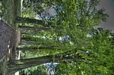 bad_langensalza_07_2016_hdr_275